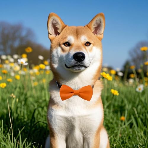 12 Pack Plain Dog Bowties for Small Dogs Slide on Collar (S/M)