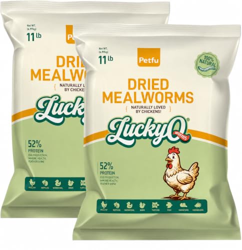 22lb Dried Mealworms for Chickens Duck High Protein Birds Treat (22 Pound (Pack of 1))