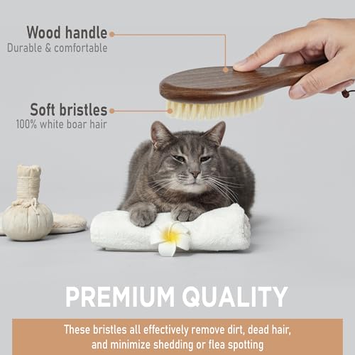 Soft Cat Brush (White Boar Bristle)