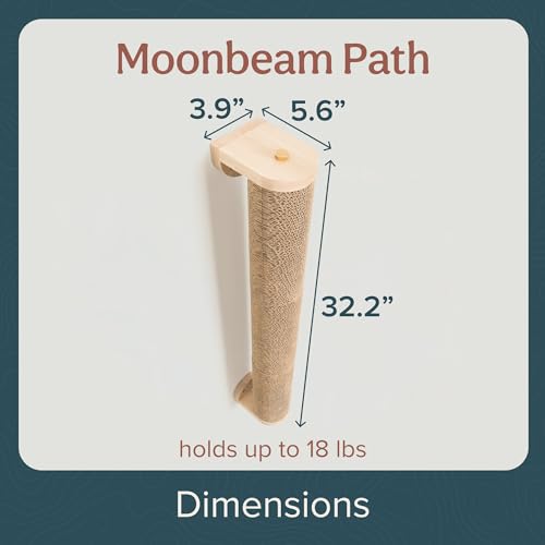 Floating Cat Shelf & Perch (Wall Mount / Ascentials Moonbeam Path)