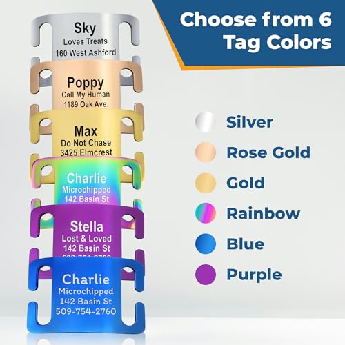 Reflective Dog Collar with Personalized Nameplate (Reflective / Medium (Pack of 1))