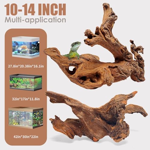 Natural Large Aquarium Driftwood for Fish Tanks & Reptile Terrariums (Mopani Driftwood 10 to 14 Inch (Pack of 2))