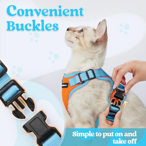 Cat Harness and Leash Set (Orange & Light Blue / Xxs)