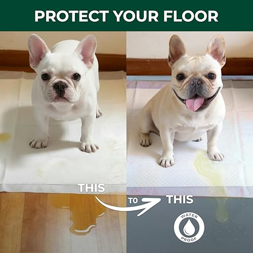 AuraSpace Acrylic Indoor Dog Playpen with Floor Mat (White / 30"H)