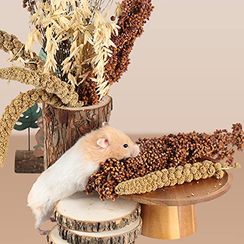 Natural Ear of Grain Flower&Herb Bedding Mate Habitat Decor (Grain)