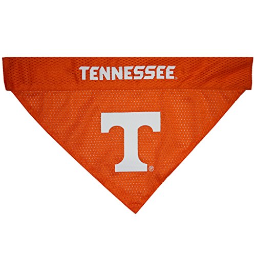 Collegiate Pet Accessories (Small/Medium / Tennessee Volunteers)