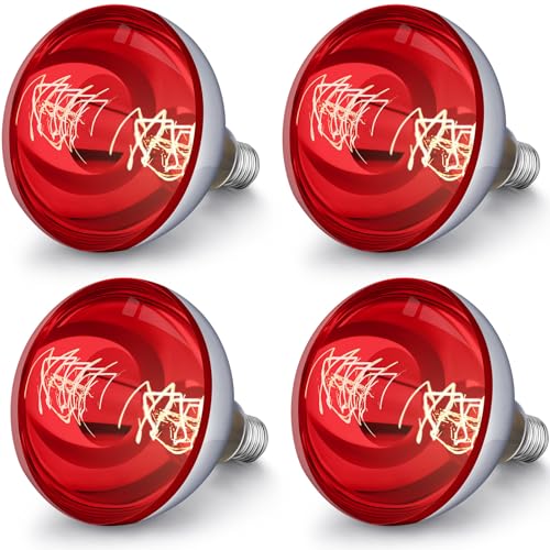 4 Pack Heat Lamp Bulbs 250 Watt (Red)