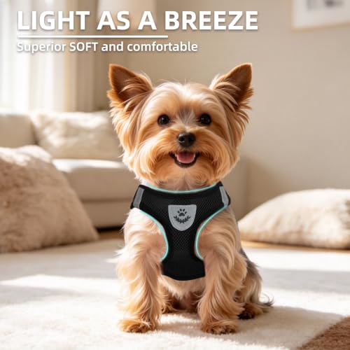 Dog Harness Collar and Leash Set No Pull for Small Medium Sized (Solid Black / S (CHEST 14.5"-16"))