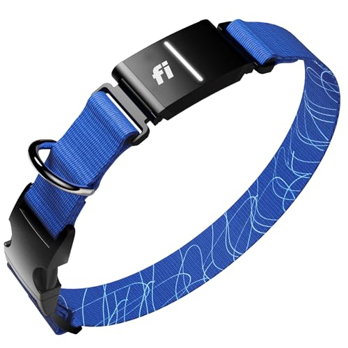 Series 3+ GPS Dog Collar & Tracker (Blue / X-Small)