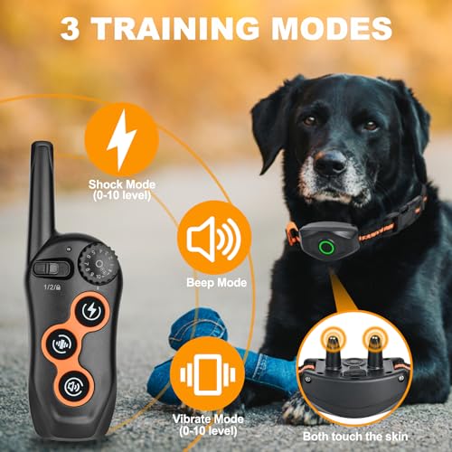 Dog Shock Collar with Remote Control