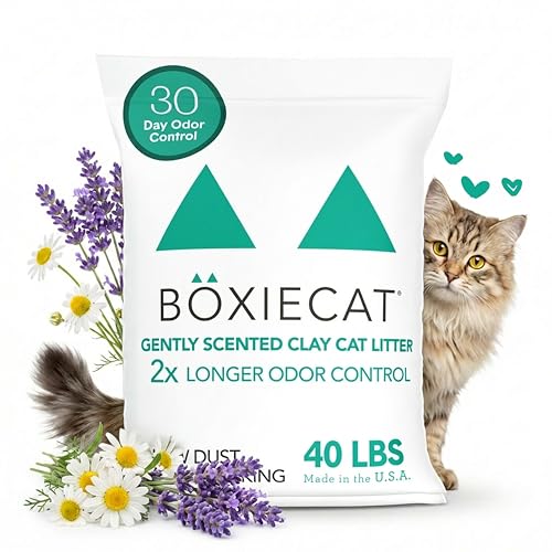 Boxie Premium Scented Clumping Cat Litter 30+ Day Odor Control 40 lb (40 lb)