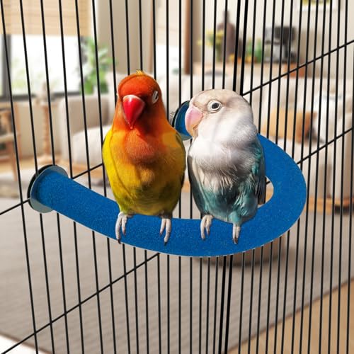 U Shaped Parrot Perch (Small / Blue)
