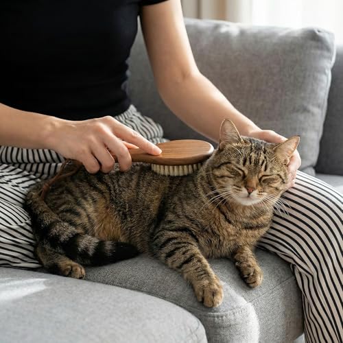 Soft Cat Brush (White Boar Bristle)