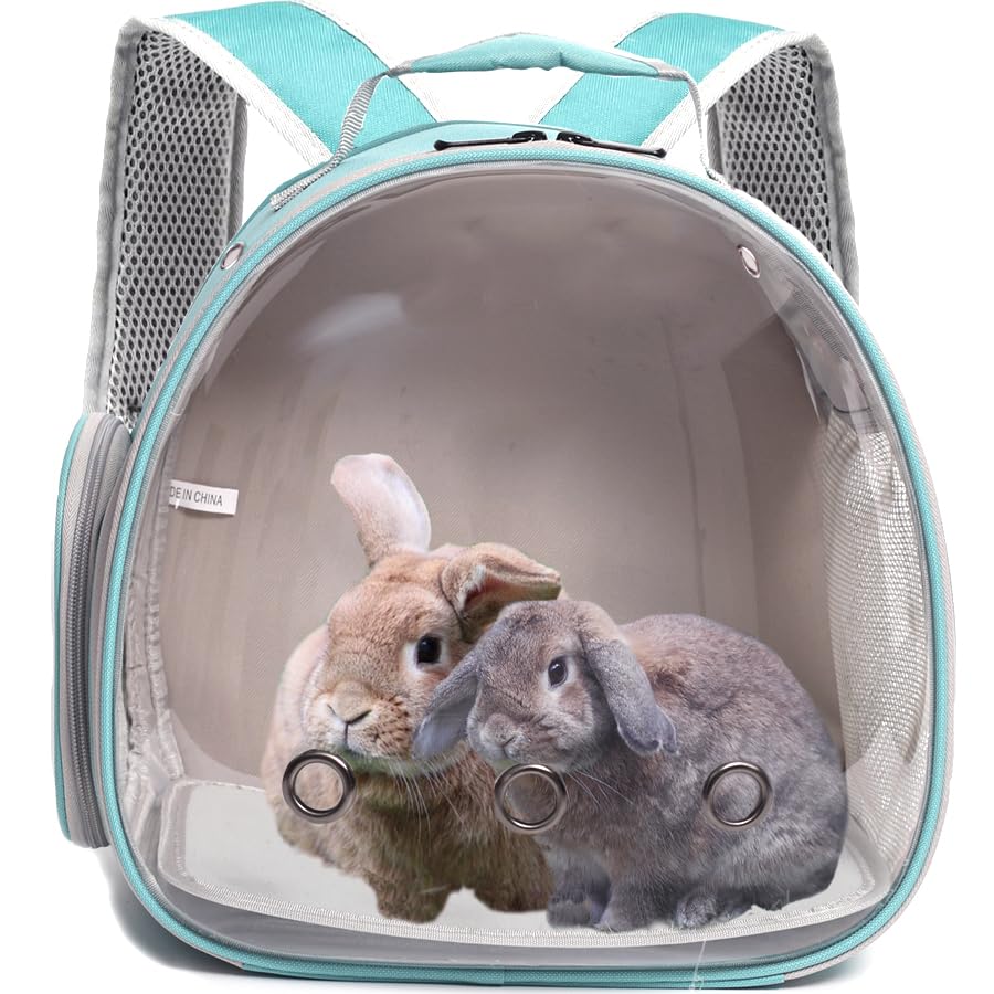 Guinea Pig Backpack Carrier (Green)