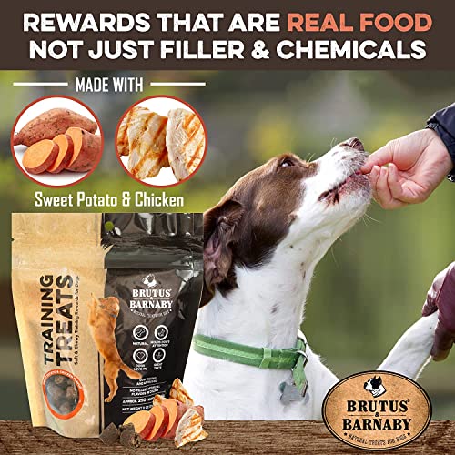 Training Treats for Dogs