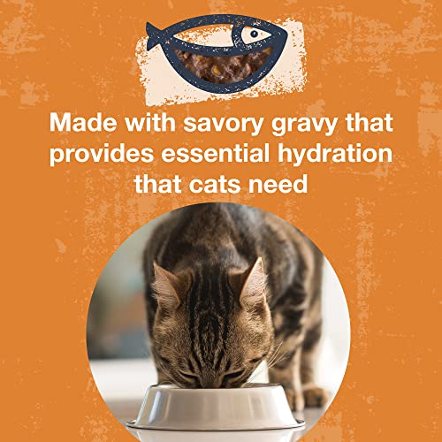 Poké Bowl Tuna & Pumpkin Entree in Gravy for Cats (3 Ounce (Pack of 12))