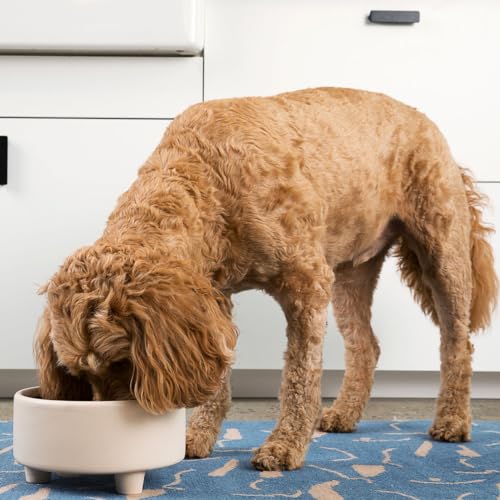 Uplift Ceramic Dog Bowl for Small Medium and Large Breeds (Large / Vintage Grey)