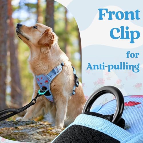 Dog Harness for Large (Floral Blue / Large)