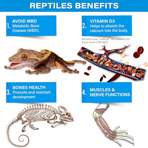 4oz All Reptile Calcium NO D3