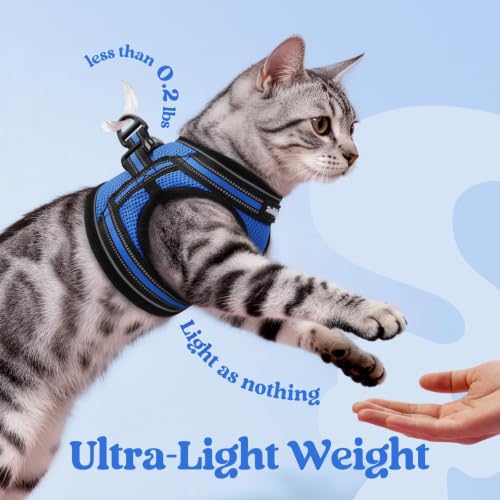 Cat Harness and Leash Set (L / Blue)