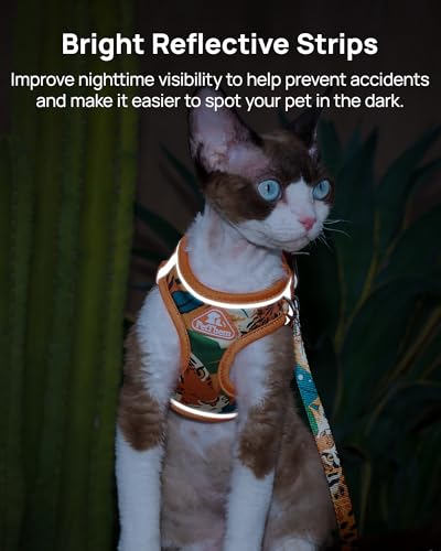 Upgraded Cat Harness and Leash Set (Orange King of The Jungle / XS)