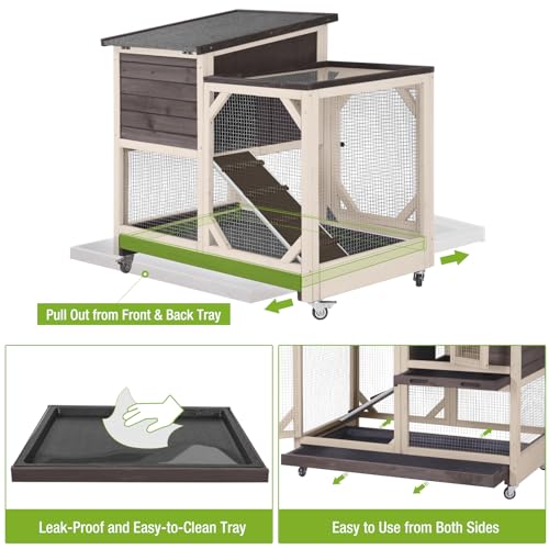 2 Story Rabbit Hutch with Chew