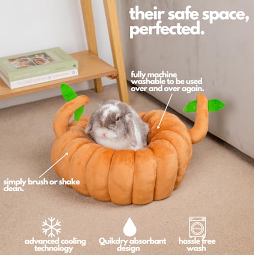 Guinea Pig Hideout & Bed (Small)