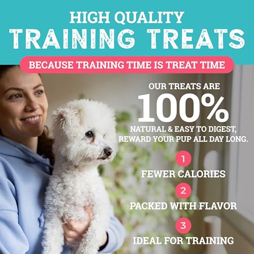 Sit Training Treats