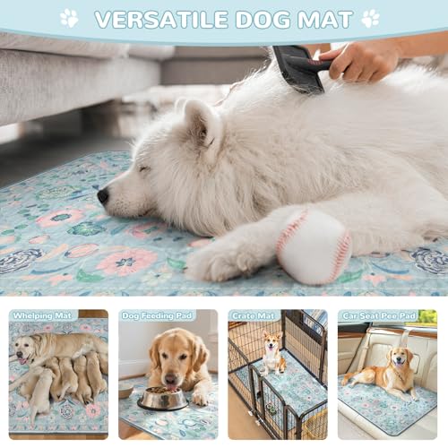 Botanical Washable Reusable Pee Pads for Dogs (Blue-01 / 3FT x 4FT (Pack of 2))