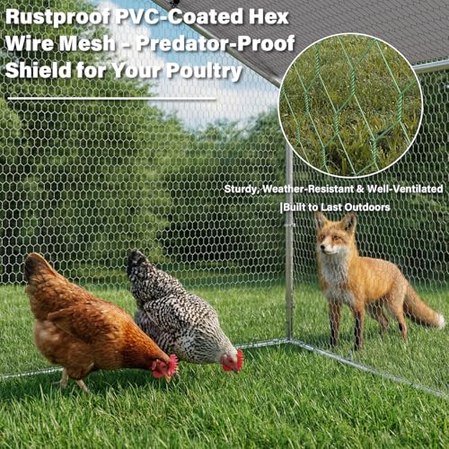 Metal Chicken Runs for Yard (158.4"L x 118.1"W x 76.8"H)