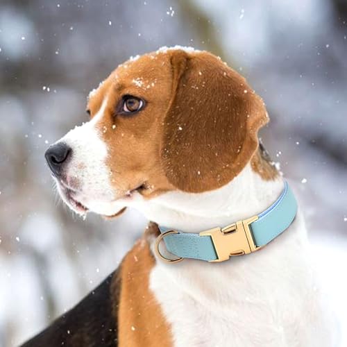 Soft PU Leather Dog Collar (L: Fit 16-27" Neck(55-110 lbs) / Blue)