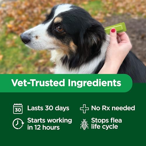 Activate II Flea and Tick Prevention for Small Dogs (Small)