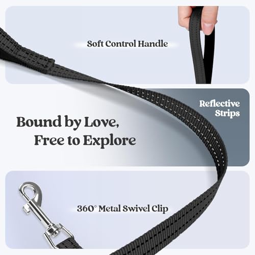 Dog Harness Medium Sized and Leash Set (Black / L (chest: 18.2 - 20.5"))
