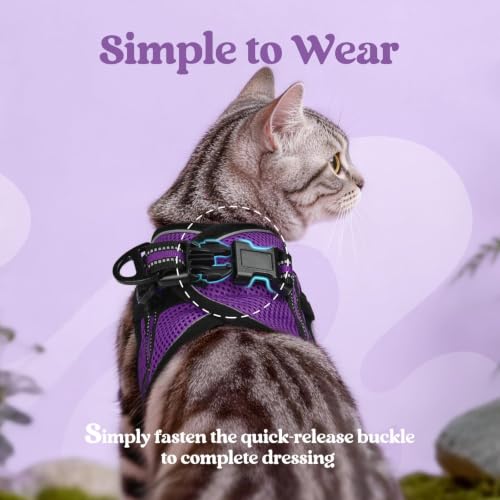 Cat Harness and Leash Set (S / Purple)