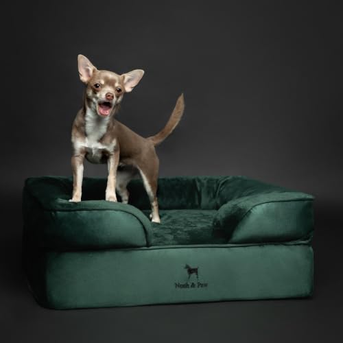 Dog Bed Orthopedic Memory Cooling Foam (Dark Green - VE / Medium)