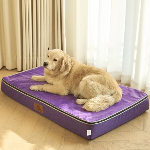 Orthopedic Memory Foam XXL Dog Bed (48.0"L x 30.0"W x 6.0"Th / Purple)