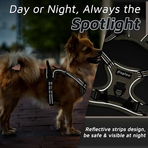 Dog Harness for Small Dogs (X-Small / Brown)