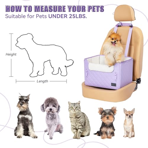 Dog Car Seats for Small Dogs