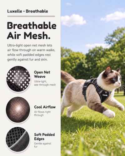 Escape Proof Cat Harness and Leash Set (Black / XS)