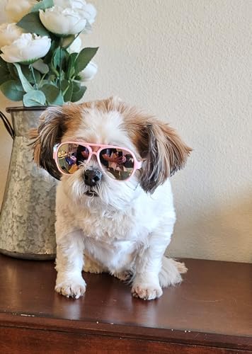 G029 Dog Cat Pet Aviator Sunglasses Glasses for Small Breeds up to 15lbs (Small, Up to 15lbs, Pink-pink mirror)