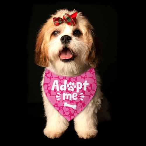 Adopt Me Heart Dog Bandanas for Dogs Adoption Gotcha Day Adopted Dog Bandana Baby Announcement Adopt Me Pets Scarf for Small Medium Dogs & Cats (T)