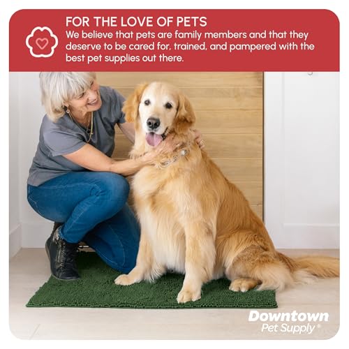 Dog Mud Mat 36" x 26" Chive (36" x 26" / Chive)