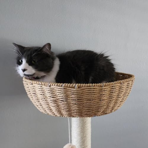 Rattan Modern Cat Tree Tower for Indoor Large Cats (Large01)