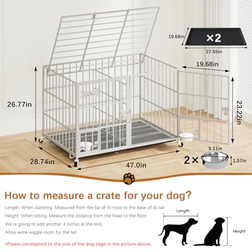 48" Heavy Duty Metal Dog Crate (48"inch for 2 Dogs / Silver)