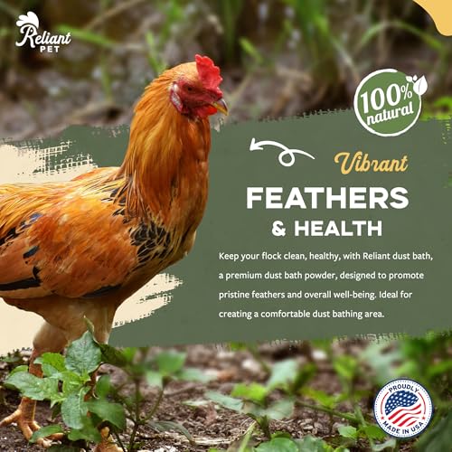 Chicken Dust Bath