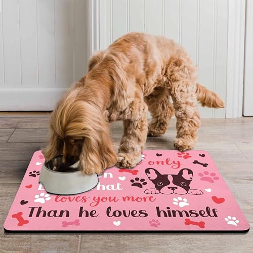 Pet Feeding Mat for Floors Waterproof Dog Mat for Food and Water Absorbent Quick Dry Non Slip mat for Cat Bowls (24"L x 16"W / Pink)