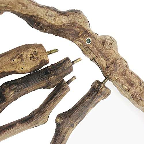 6 PCS Bird Perch Stand Natural Grapevine with Chewing Toys for Parrots (Style 8)