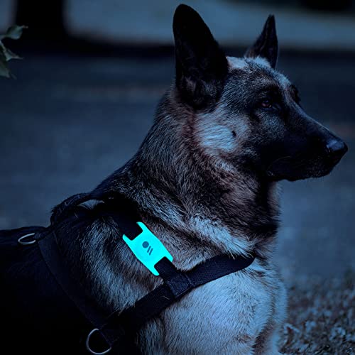 1 Pack AirTag Dog Collar Holder (Glow in the Dark)