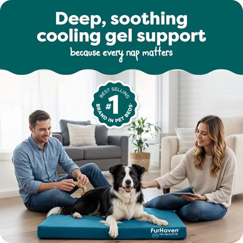 Water Resistant Orthopedic Dog Bed for Large Dogs (Large / Deep Lagoon)