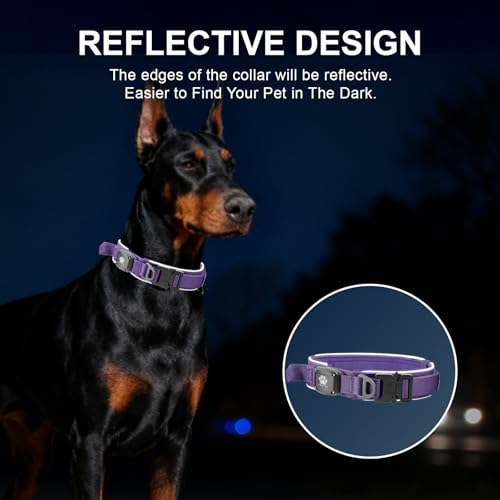 Tactical Dog Collar with IPX8 Waterproof AirTag Holder (Purple / M(15"-18.5"))